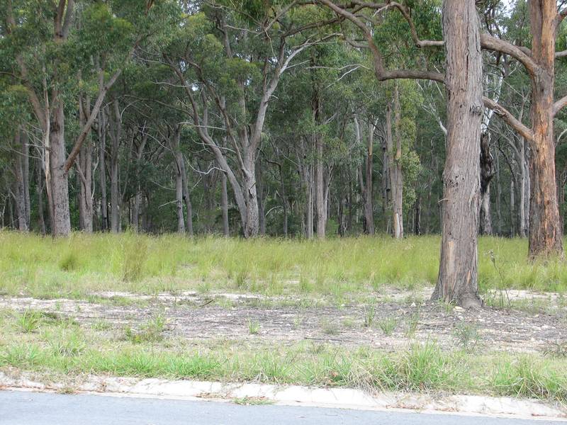 Great Level Bulding Block Picture 1