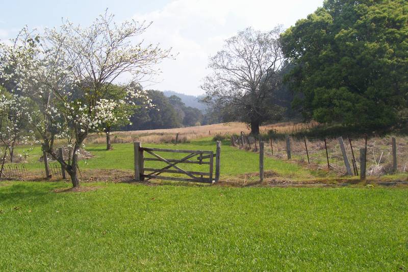 Your Chance To Restore History Picture 3