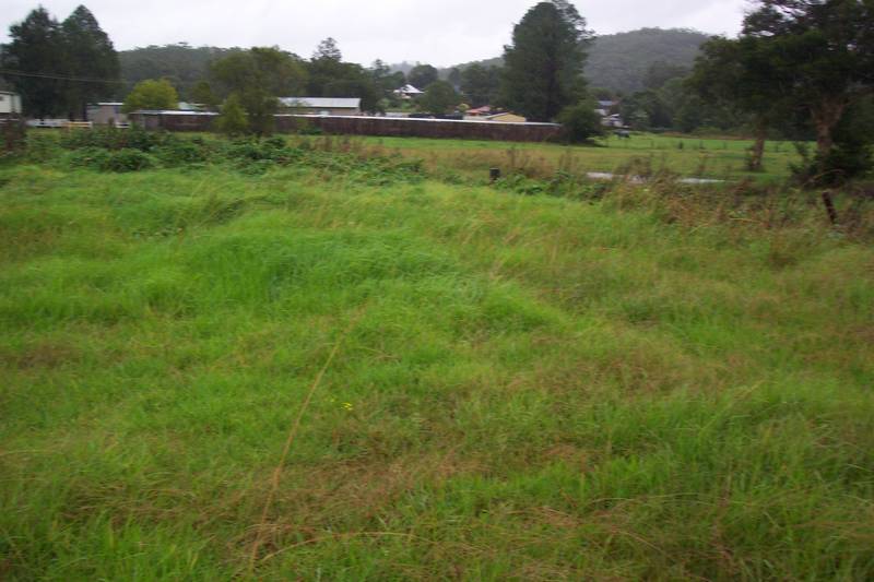 Orara Street Adjoining the Showground Picture 1