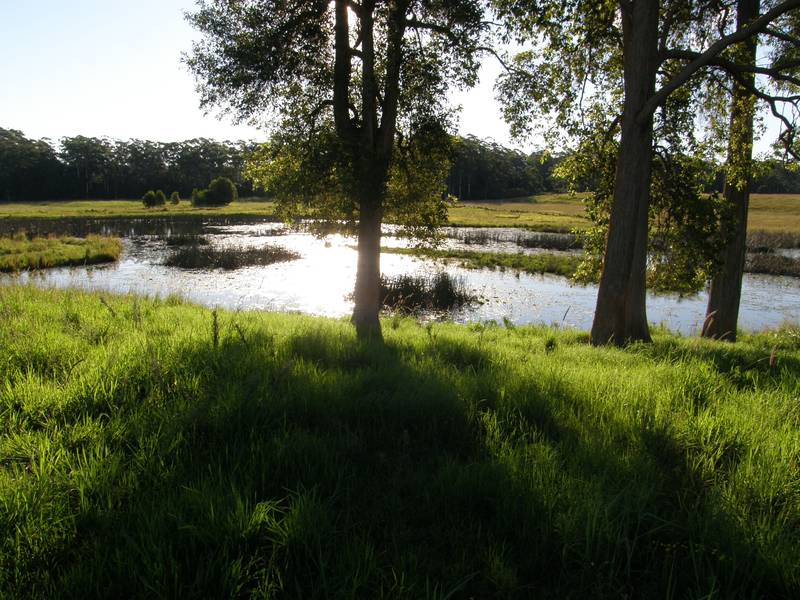 Rare Rural Opportunity Picture 1