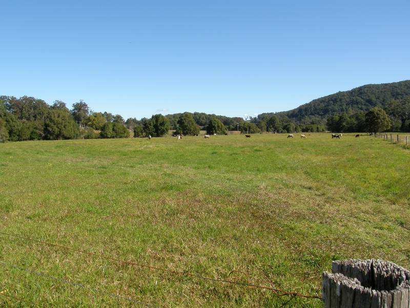 Land Ahoy - Camden Haven River Frontage Picture 3