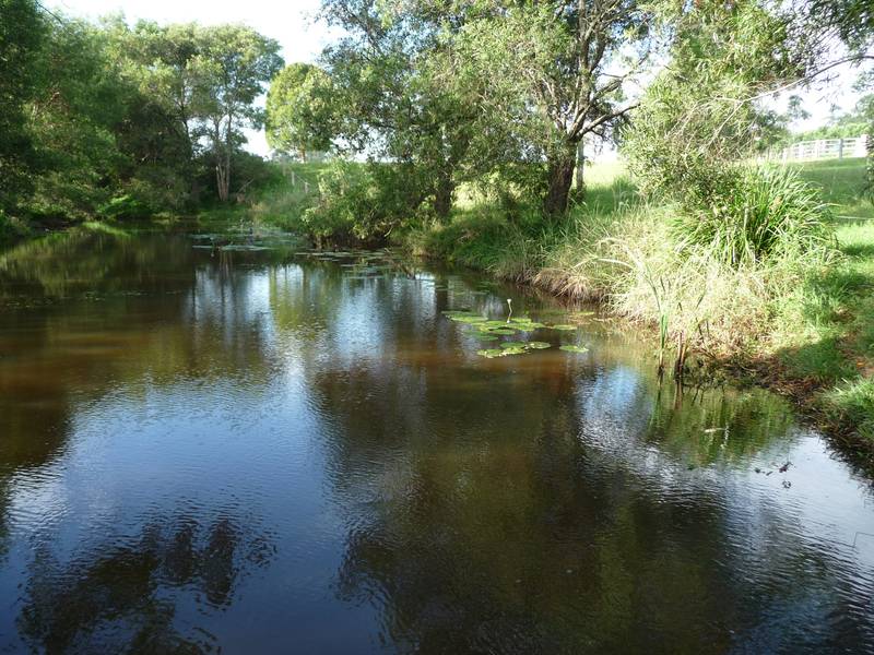 HORSE COUNTRY Picture 3