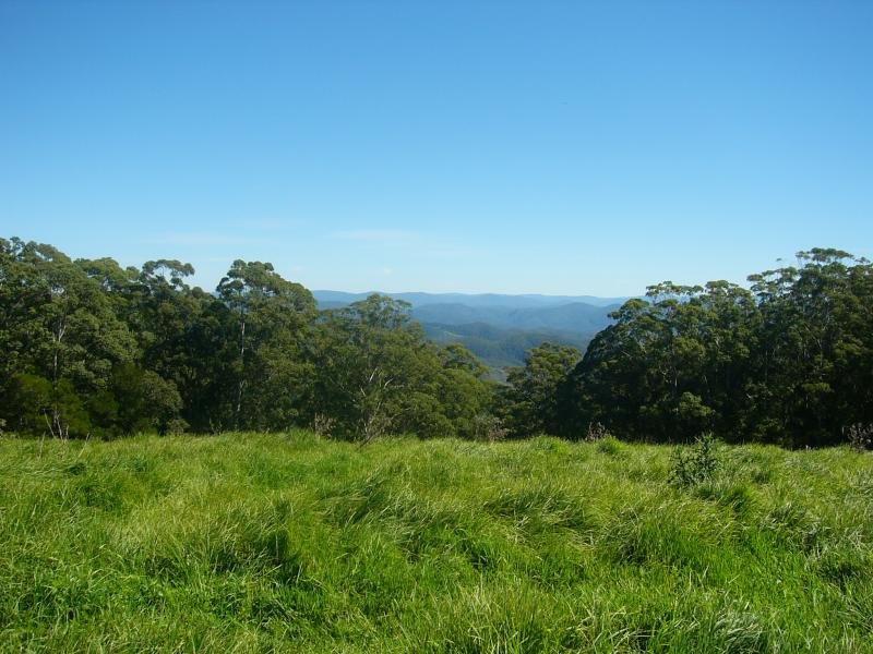 Comboyne Hinterland Picture 3