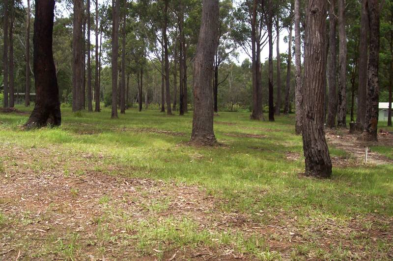 Luxury Lifestyle Picture 3