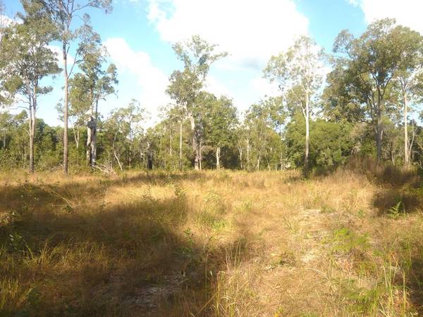 113 ACRES - 35 MINUTES FROM CASINO Picture 1