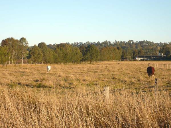 5 ACRES + DWELLING ENTITLEMENT Picture 2