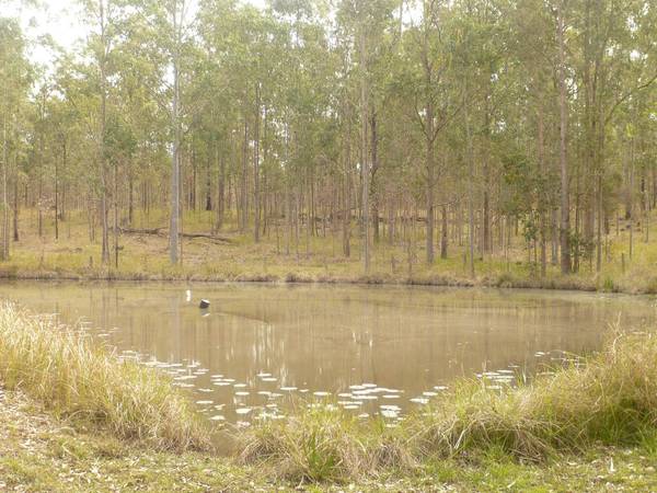 PEACEFUL SETTING MINUTES TO TOWN Picture 3