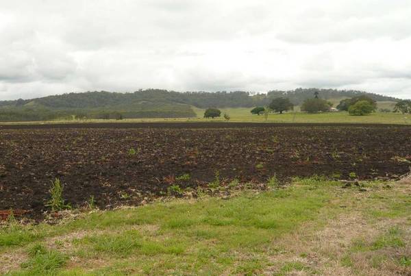 PRIME GRAZING OR CROPPING COUNTRY Picture 2