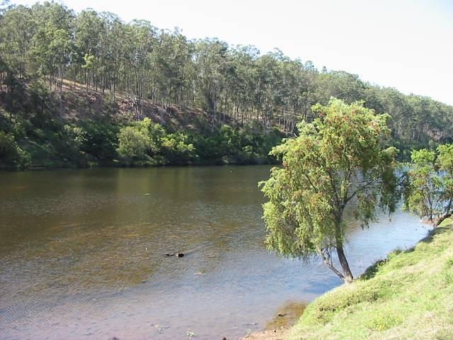 LIFESTYLE ACREAGE WITH TWO HOMES - LIVE IN ONE & RENT THE OTHER Picture 3