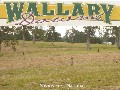 NEW LAND RELEASE - WALLABY DOWNS Picture