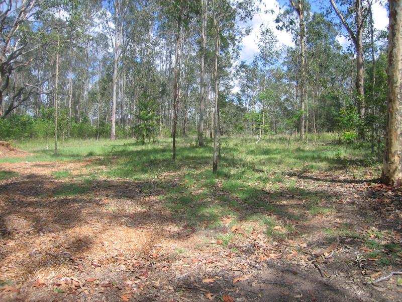 BUSH BLOCK & DWELLING - PRICE REDUCED!!! Picture 2