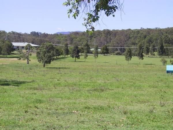 NEW LAND RELEASE Picture 1