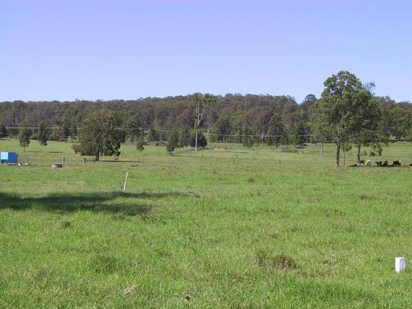 NEW LAND RELEASE Picture 3