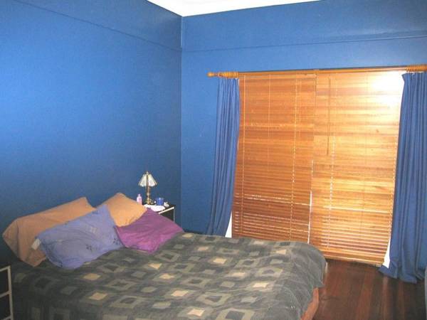 OOZES COMMERCIAL POTENTIAL Picture 3