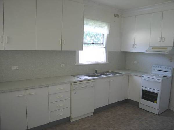 BREAK INTO THE MARKET Picture 2