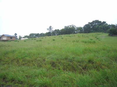 BUILDING BLOCK IN THRIVING ESTATE Picture