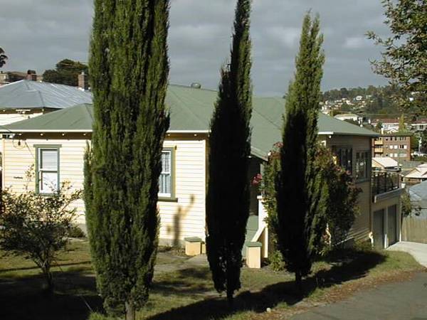 Quiet and Peaceful Picture 1