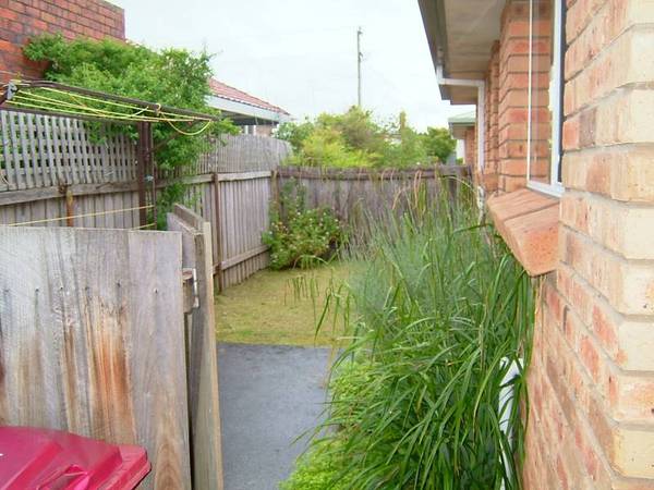 Units Close to Uni Picture 3