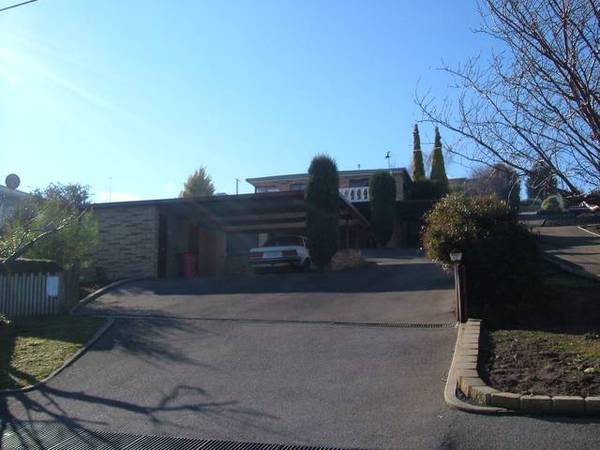 BIRD'S EYE VIEW Picture BIRD'S EYE VIEW Picture