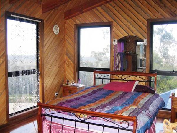 TIME FOR A TREE CHANGE? Picture 3