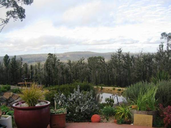 TIME FOR A TREE CHANGE? Picture 2