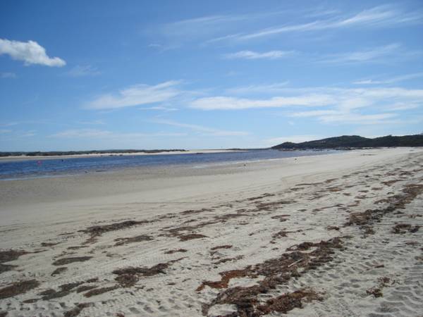 Highly sort after Picture Highly sort after Picture