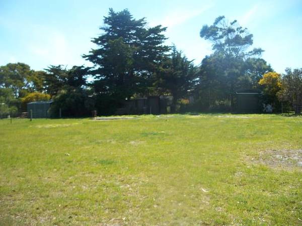 Summer Holidays! Picture