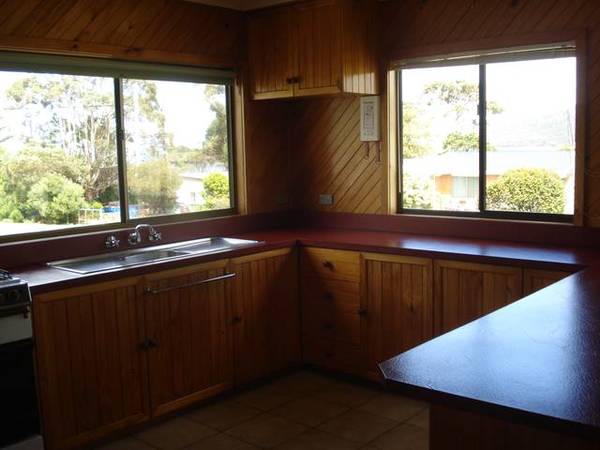 Bicheno Beauty! Picture 3