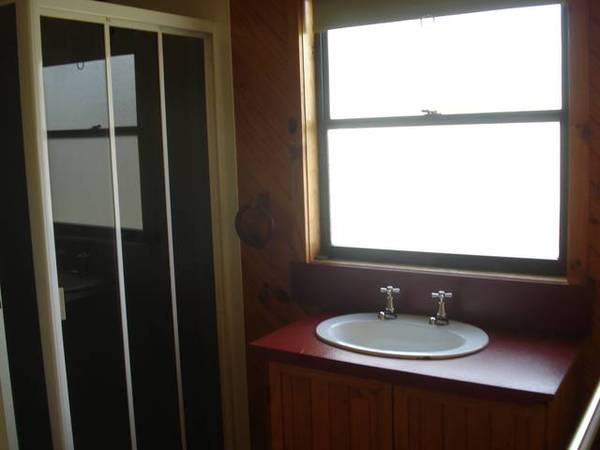 Bicheno Beauty! Picture 2