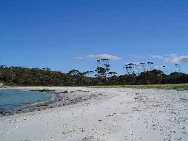 THE BEACHHOUSE Picture THE BEACHHOUSE Picture