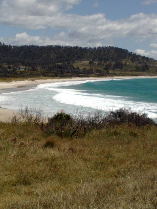 BLACK WATTLE VIEWS Picture 1