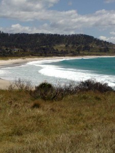 BLACK WATTLE VIEWS Picture