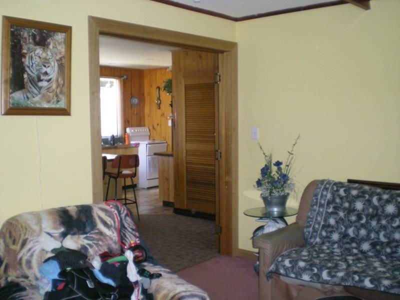 Perfect Starter Picture 2