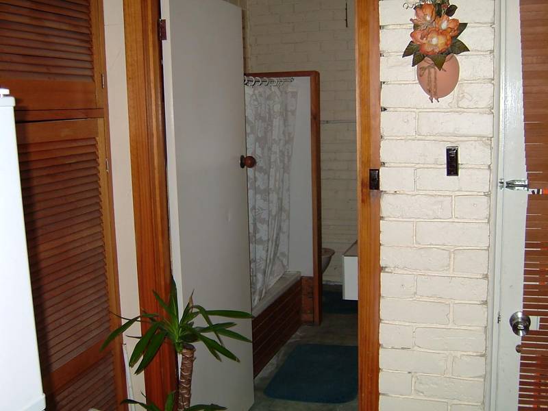 ONCE IN A LIFETIME! Picture 3