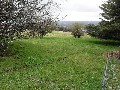 Quiet Location- Big Allotments - Great Views Picture