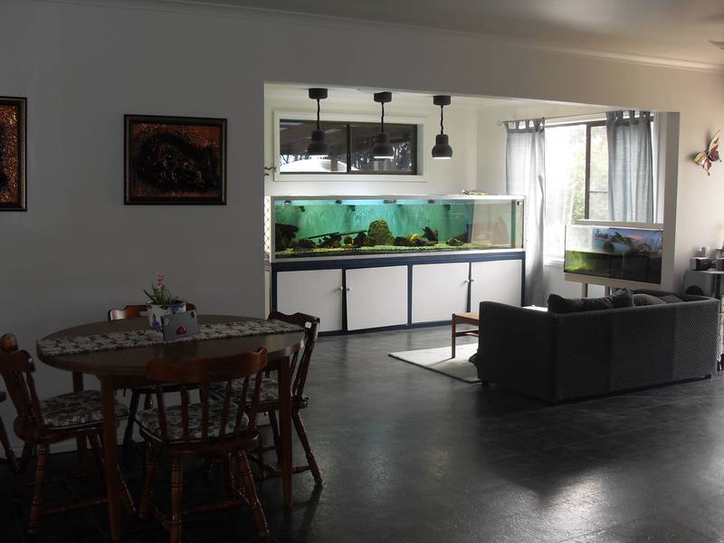 Big Block-Big House-Big Sheds Picture 3