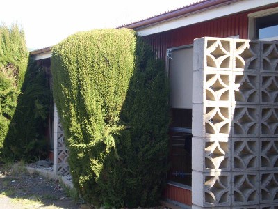 Cosy One Bedroom Unit Close to Launceston Picture