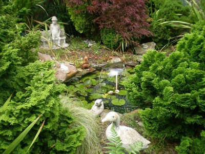 Your very own Botanical Garden! Picture
