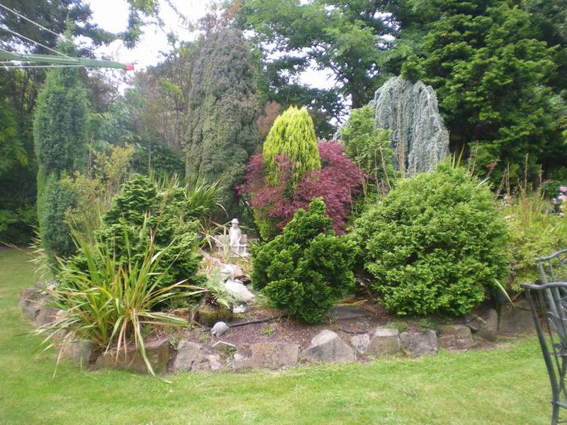 Your very own Botanical Garden! Picture 3