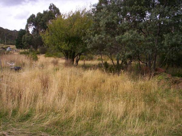 Building Block Cornwall. Picture 2