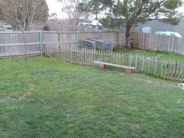 Vendor Wants Action!! Picture 3