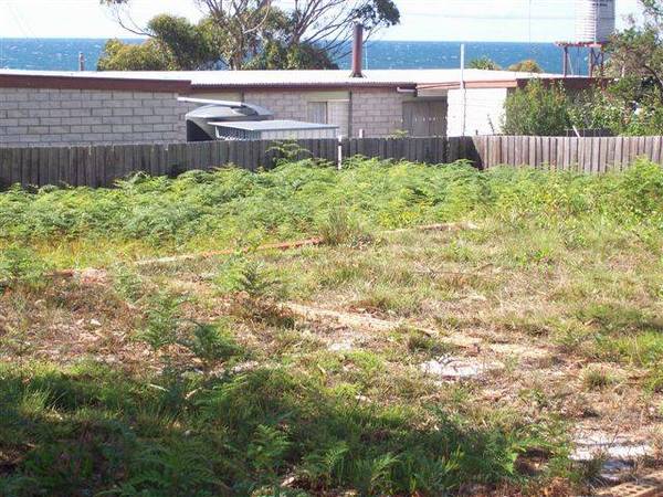 Surf and Turf Beaumaris Picture 3