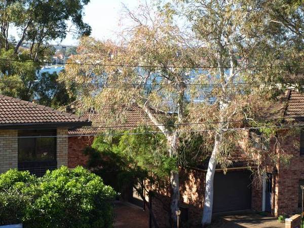 LOOK NO FURTHER - LEAFY WATER VIEWS Picture 2