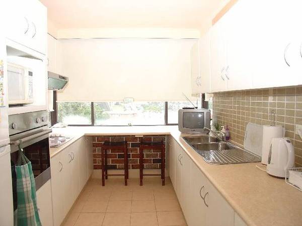 DRESSED UP TO IMPRESS! Picture