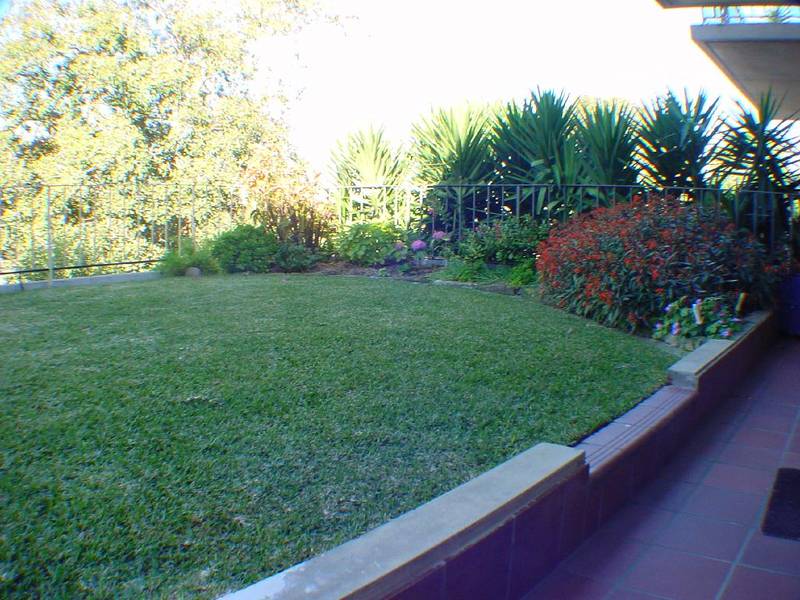 OPEN UP NEW VISTAS! Picture