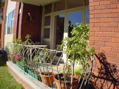 PIZZAZ PLUS! Picture PIZZAZ PLUS! Picture