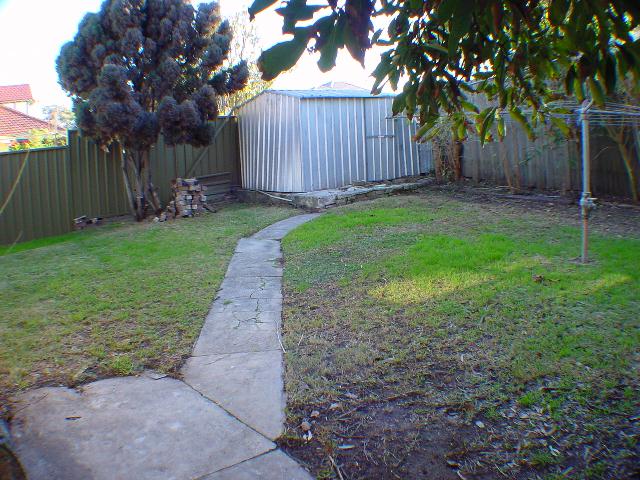 FABULOUS FEDERATION! Picture 2