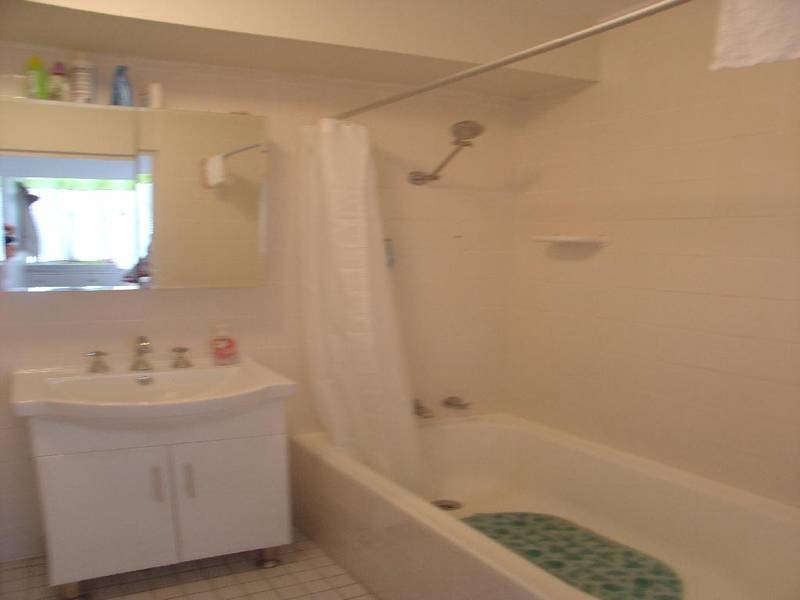 OPEN UP NEW VISTAS! Picture 3