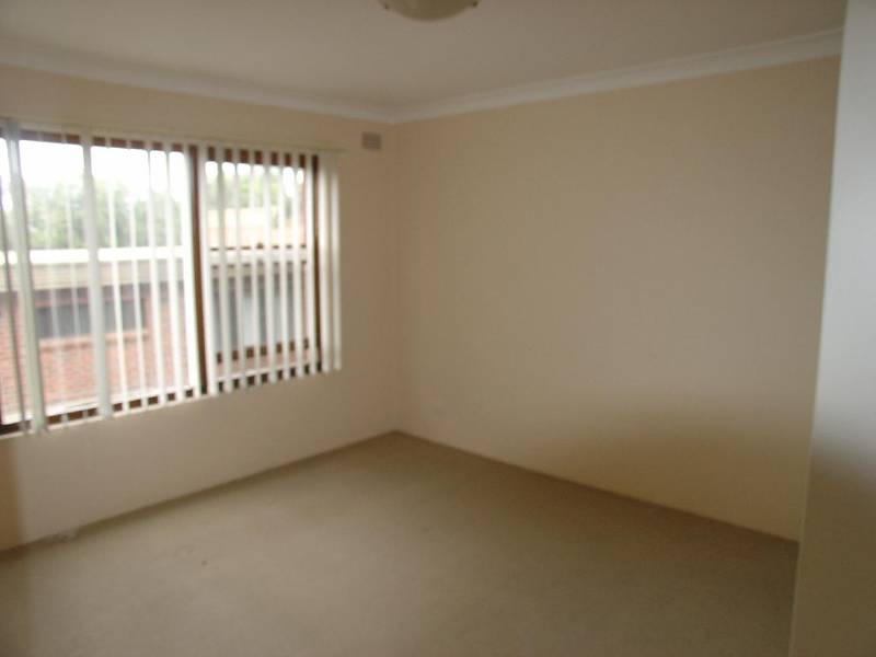 DON'T BRUSH OFF THIS BARGAIN! Picture 3