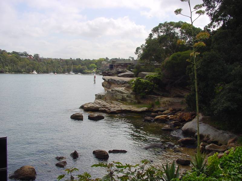 A SCENE SO SERENE! Picture 1